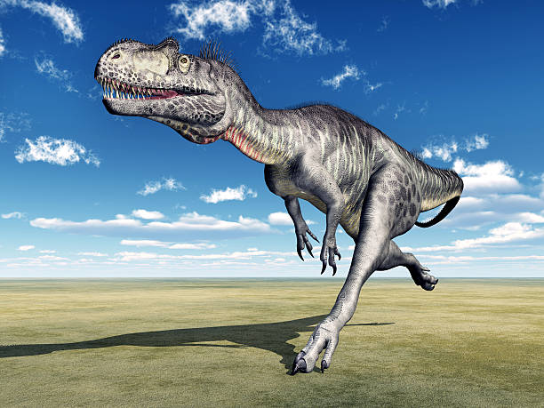 dinosaur megalosaurus - hugely photos et images de collection