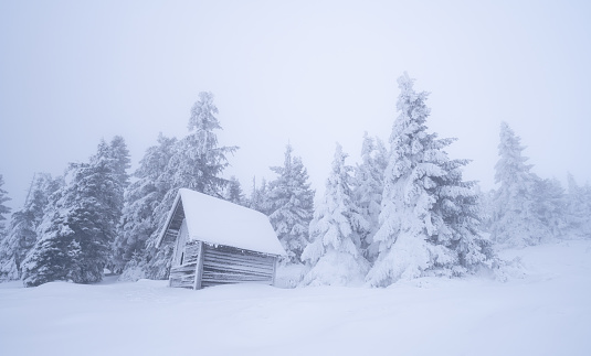 cottage in forest during winter in karkonosze mountains in Poland