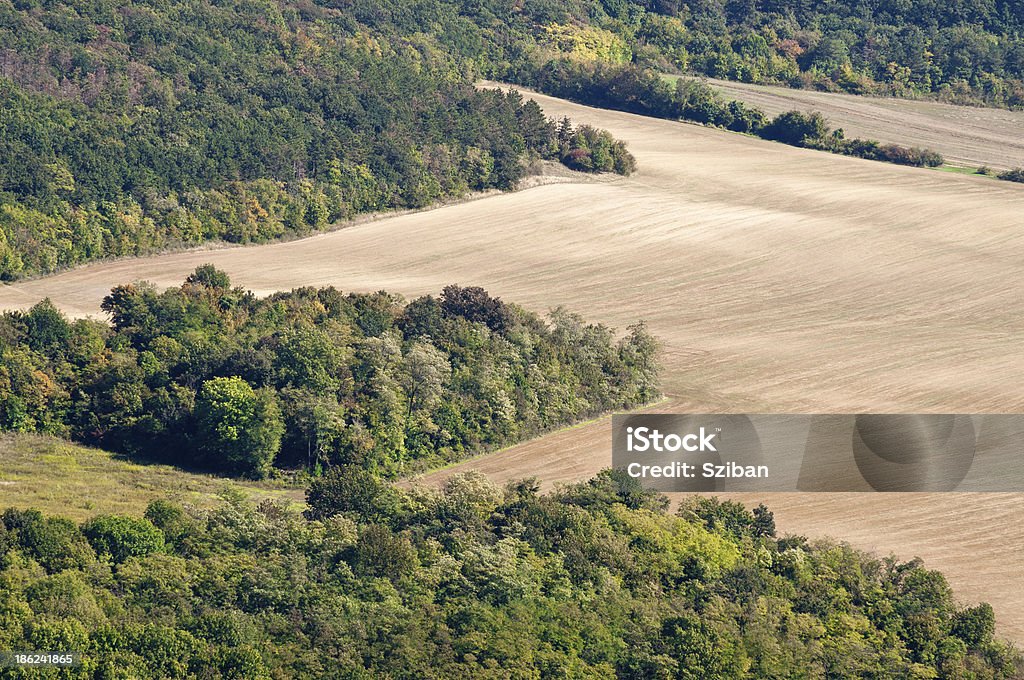 Paysage d'automne - Photo de Agriculture libre de droits