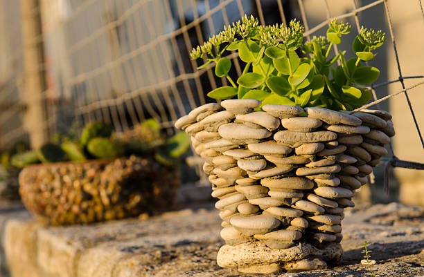 rockery garden with a lot of plants in plant pots