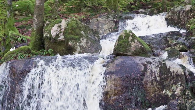 Water flowing over rocks in rural woodland