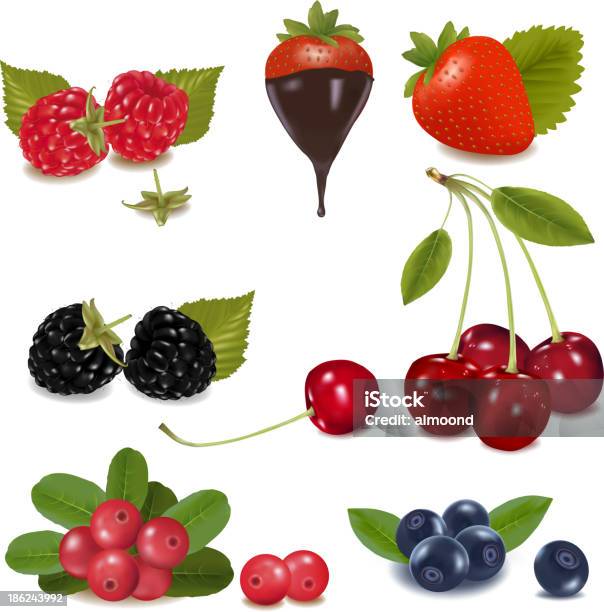 Fruit Stock Illustration - Download Image Now - Color Image, Fruit, Illustration