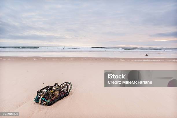 Aislamiento Encapsulado De Playa Solitaria Langosta Pálido Northumberland De Bamburgh Foto de stock y más banco de imágenes de Arena