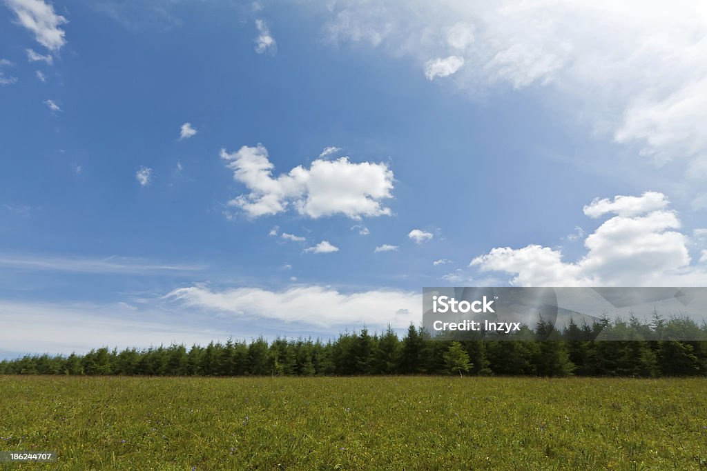 Paysage naturels - Photo de Arbre libre de droits