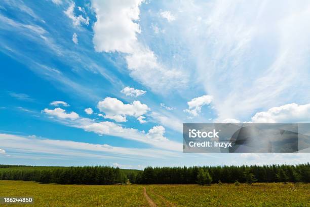 Paisagem Prado - Fotografias de stock e mais imagens de Ao Ar Livre - Ao Ar Livre, Azul, Barragem - Estrutura Feita pelo Homem