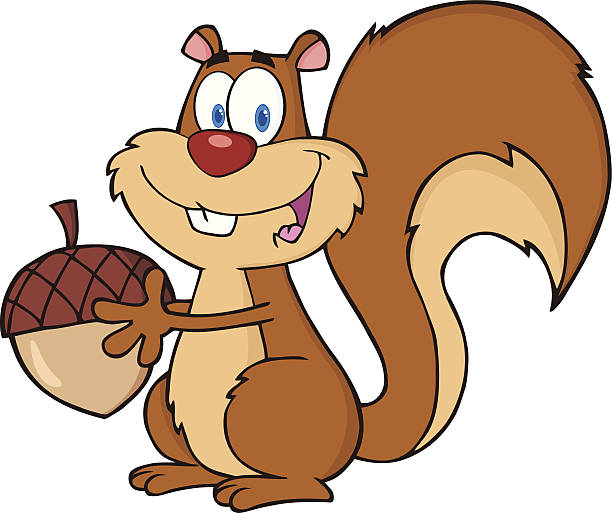 Cute Squirrel Cartoon Mascot Character Holding A Acorn Stock Illustration -  Download Image Now - iStock