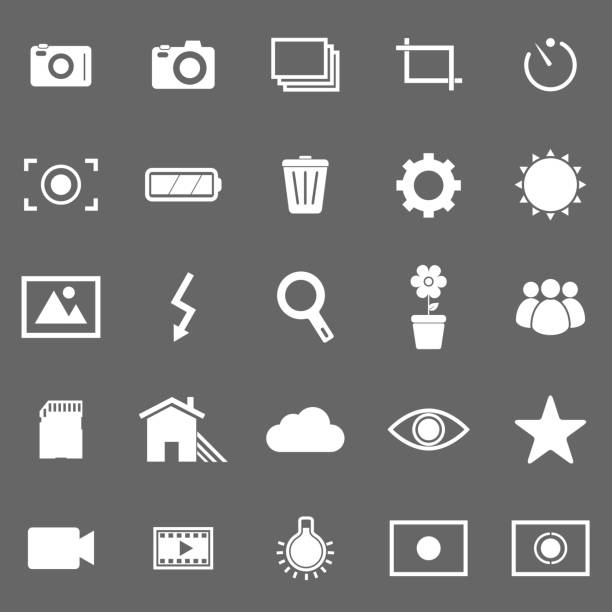 fotografie-icons auf grau hintergrund - mittelformat kamera stock-grafiken, -clipart, -cartoons und -symbole