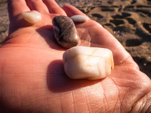 Photo of Pebble Balance of nature