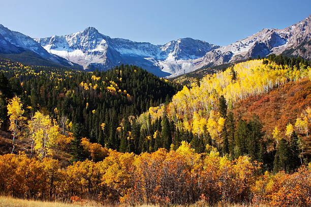 istock Dallas Divide, Uncompahgre National Forest, Colorado 186246150