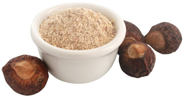 istock Aritha or Sapindus mukorossi with powder 1862464010