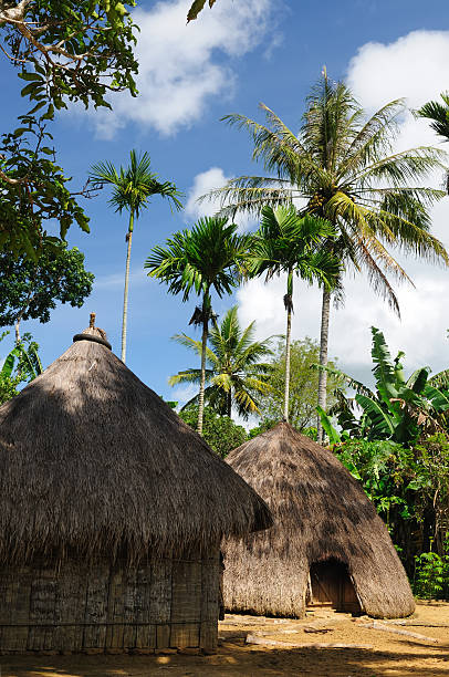 istock Head hunter village in Indonesia 186247191