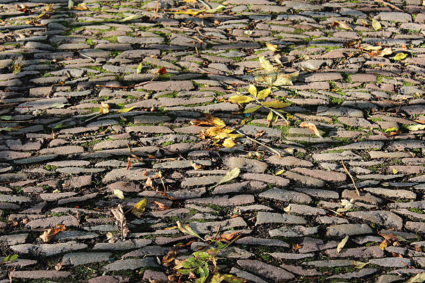 istock Yellow and green leaves over cobblestone 186247235