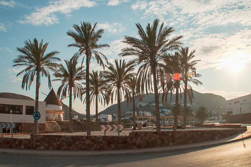 Decorative palm trees located on a roundabout at the entrance to the small town.