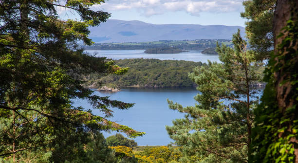 vista panoramica del lago muckross e lough leane nel parco nazionale di killarney - contea di kerry - irlanda - tranquil scene colors flowing water relaxation foto e immagini stock