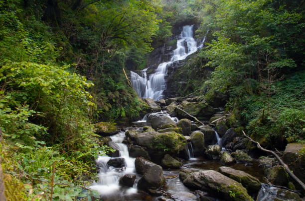 la cascata di torc nel parco nazionale di killarney nella contea di kerry - irlanda - tranquil scene colors flowing water relaxation foto e immagini stock