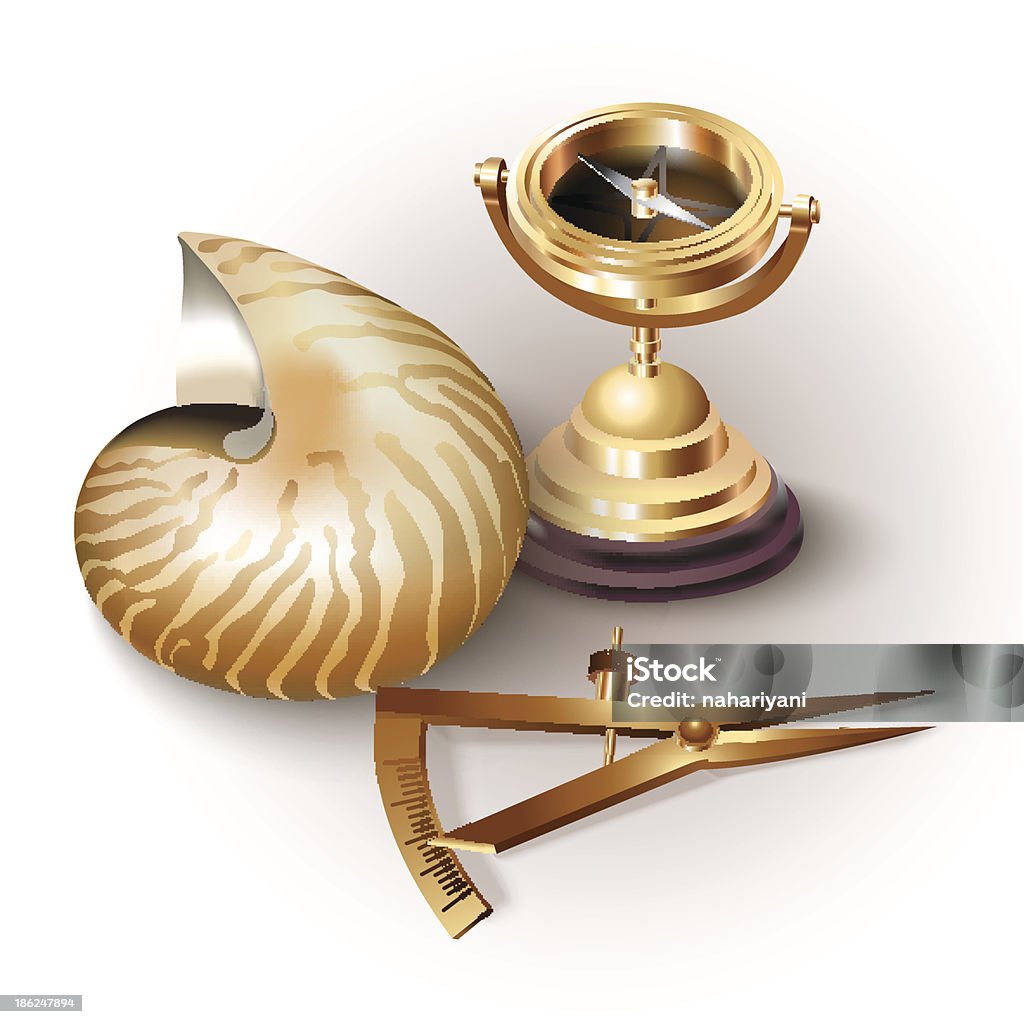 Navigating Tools Drawing Set Of Navigation Tools And A Shell On White Background Stock ...