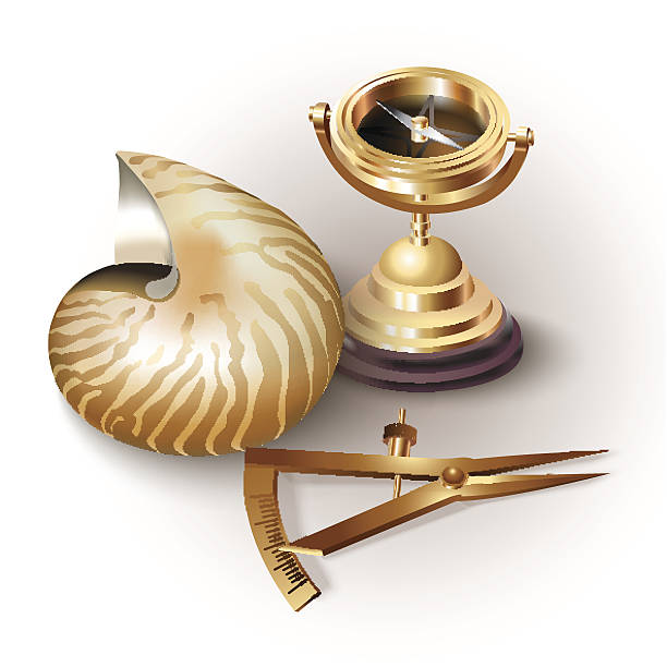 Set of navigation tools and a shell on white background vector art illustration
