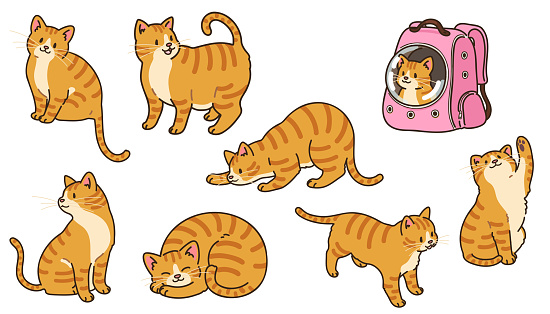 Simple and adorable illustrations of Orange Tabby Cat outlined