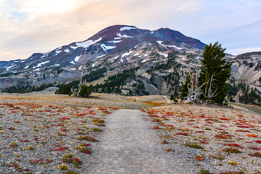 On trail below South Sister in the Three Sisters Wilderness, Oregon