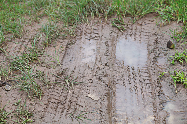 tire marks tread on mud and grass. - mud road tire track footpath imagens e fotografias de stock