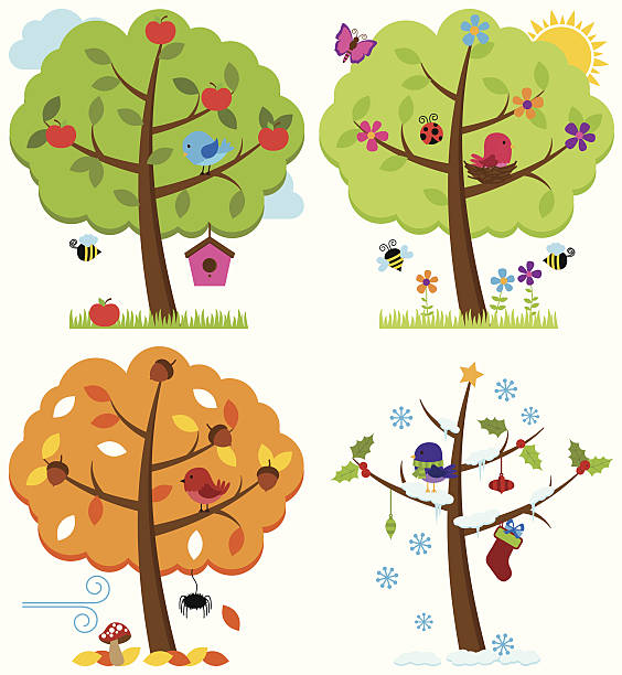 벡터 세트마다 포시즌 나무, 조류 - four seasons season four objects four animals stock illustrations