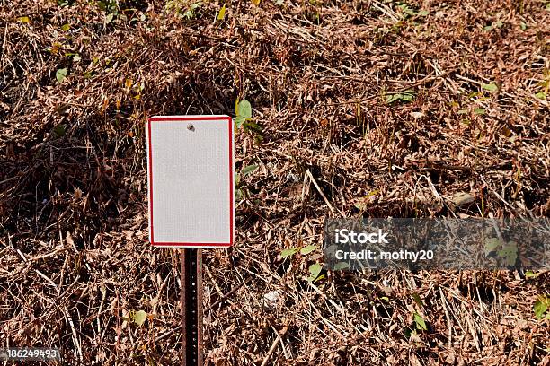 Vegetation With Sign Background Stock Photo - Download Image Now - Backgrounds, Blank Sign, Brown