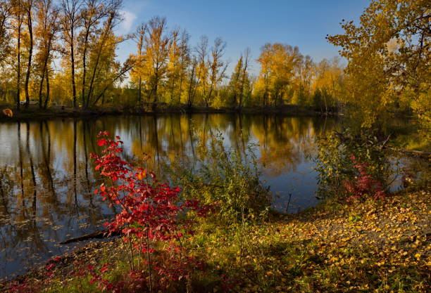 istock Autumn calm on a sunny day 1862510472