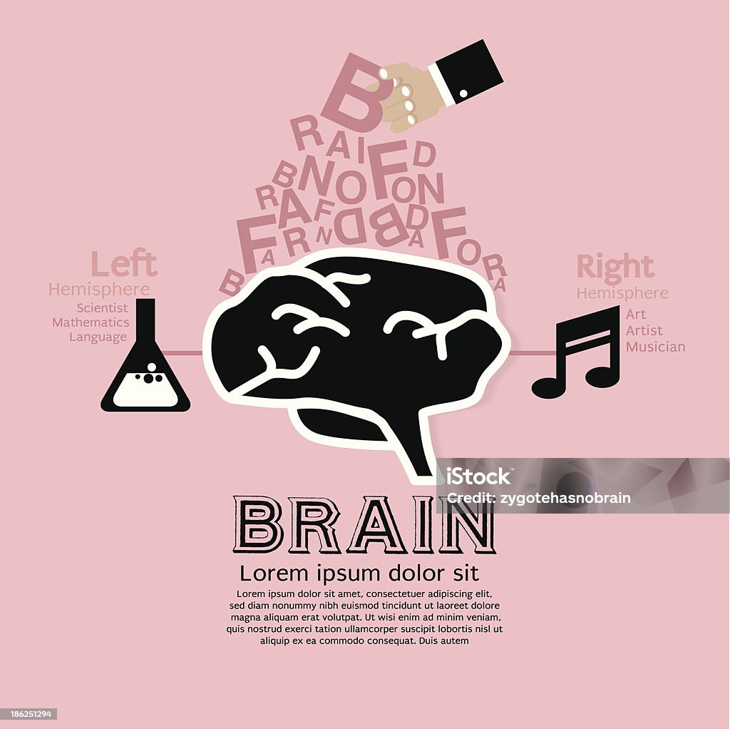 Gehirn Infografik. - Lizenzfrei Abstrakt Vektorgrafik