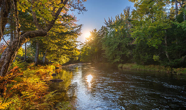 istock Landscape with autumn forest and river 186253462