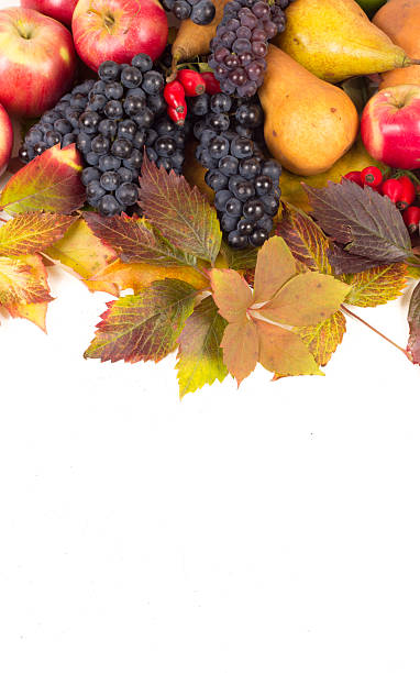 istock Colorful autumn fruits and leaf isolated on white 186253807