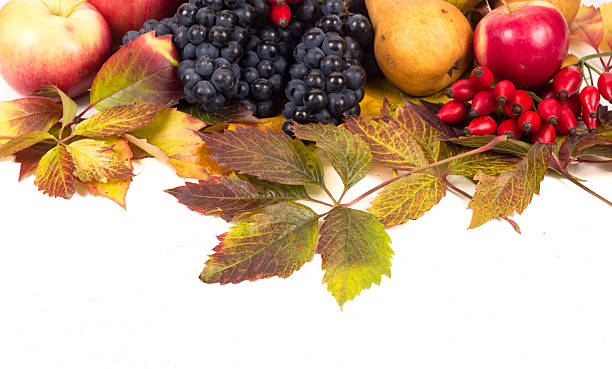 istock Colorful autumn fruits and leaf isolated on white 186253934