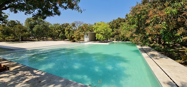 Serene swimming pool surrounded by blossoming mango trees, a tranquil oasis in nature's embrace.