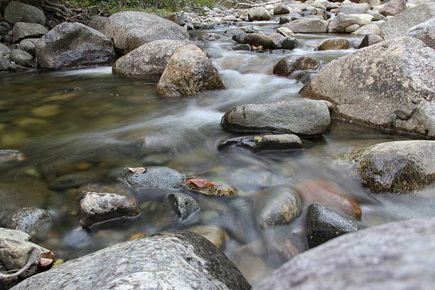 Quiet Mountain Stream mountain stream carrabassett stock pictures, royalty-free photos & images