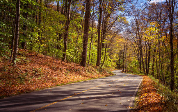 istock Winding road in New England Autumn 1862553896