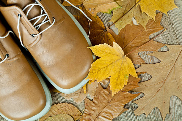 istock beige leather shoes and yellow leaves 186255437