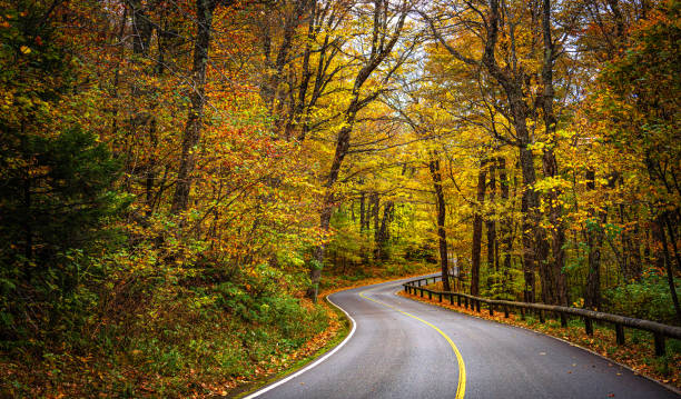 istock Winding road in New England Autumn 1862558590