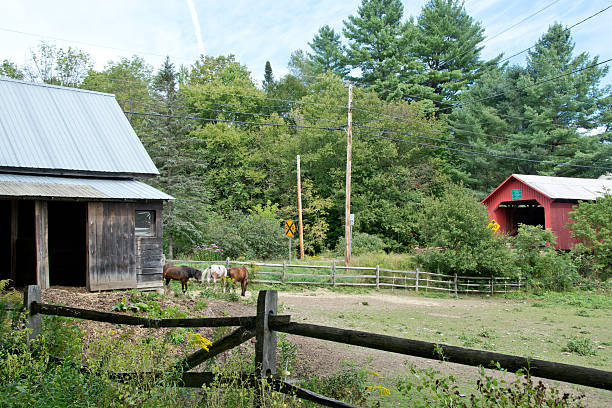 istock Barn with horses near Lower covered bridge, Northfield, Vermont 186257809