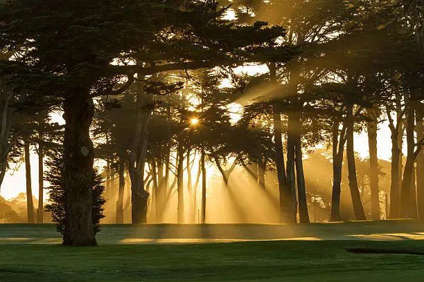 Photo of Sunrise in misty galf course