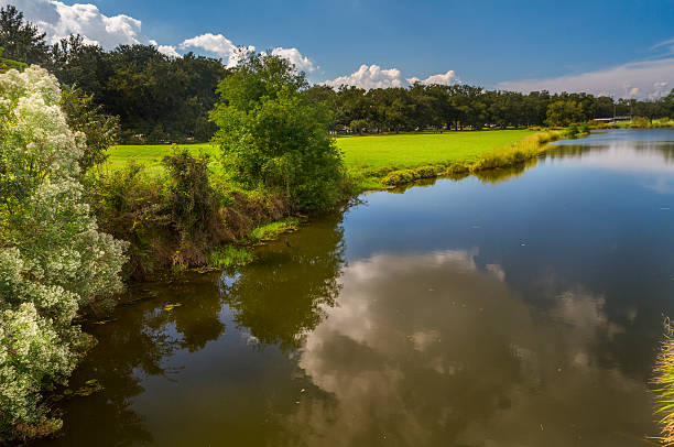 Rakes Mill Pond in the Blue Ridge Mountains