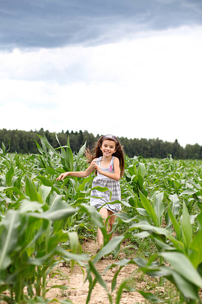 istock Joyful little girl running through the corn field 186259135
