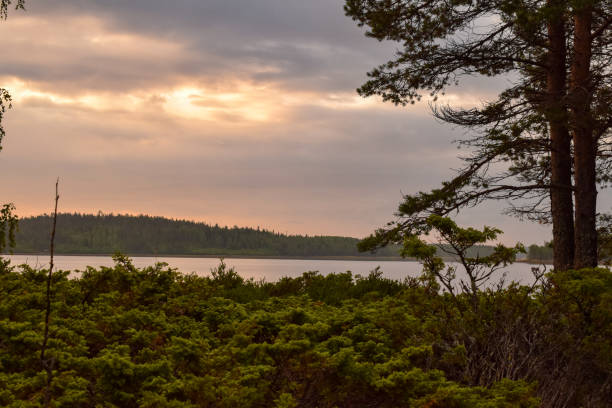istock A lake with a few trees and a bench 1862598168