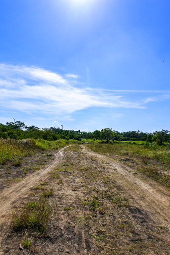 This evocative image captures the essence of adventure and tranquility as it presents a narrow, unassuming dirt road meandering through an expansive field of vivid, emerald-green grass. The road, bordered by wildflowers whispering secrets to the breeze, invites onlookers into a journey through the heart of pastoral bliss. The scene is set beneath an expansive sky, suggesting a world of possibilities beyond. This untouched and quiet path symbolizes solitude and promise, beckoning viewers to journey into the serene embrace of nature. The image, with its contrasting elements of earth and flora, exudes a sense of simplicity and untouched beauty, perfect for themes of exploration, introspection, and the allure of the road less traveled