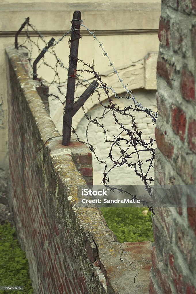 Fil barbelé sur un mur. - Photo de En quarantaine libre de droits