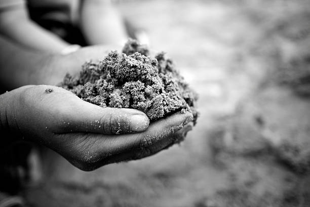 istock Hand planting soil in black and white. 186260812