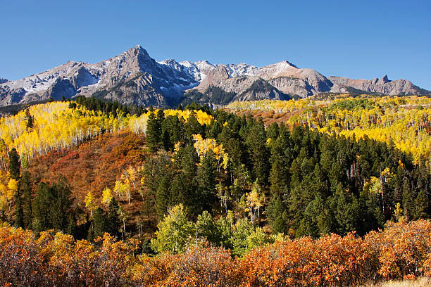 istock Dallas Divide, Uncompahgre National Forest, Colorado 186260979