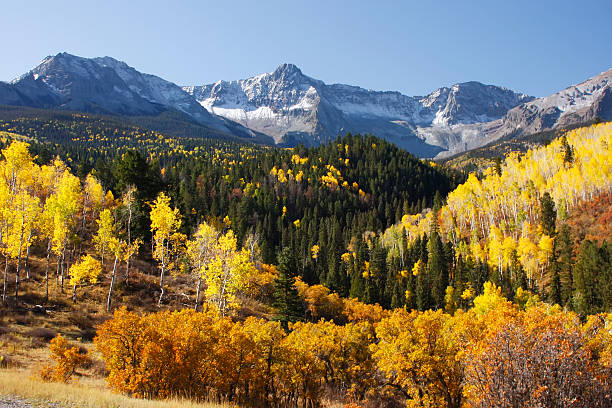istock Dallas Divide, Uncompahgre National Forest, Colorado 186260982