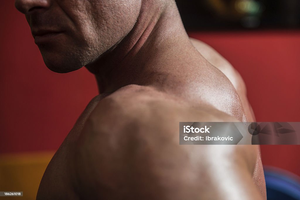 Muscolare posteriore - Foto stock royalty-free di Adulto