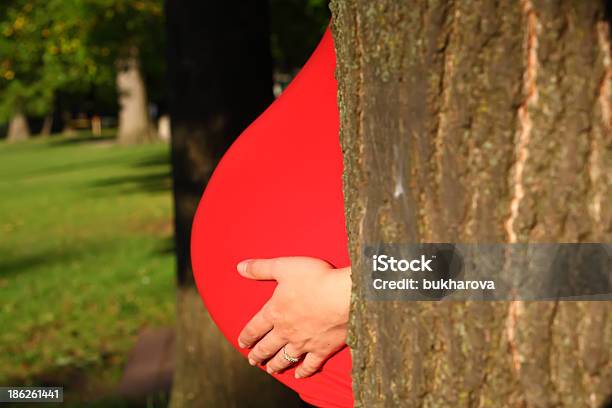 Vientre De Mujer Embarazada Detrás Del Tronco De Árbol Foto de stock y más banco de imágenes de 30-39 años