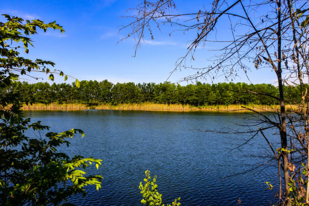 istock Whispering Reflective Serenity: A Lake's Sylvan Embrace 1862614477