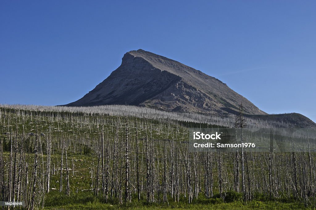 Glacier National Park Burn Northwestern Montana's Rocky Mountains. Blackfoot People Stock Photo